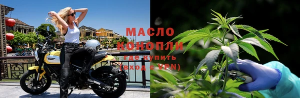 гашик Алексеевка