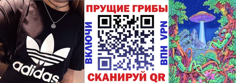 Галлюциногенные грибы Cubensis  купить  цена  Советский 
