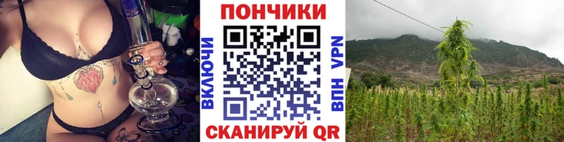 Канабис Ganja  где продают наркотики  Советский 